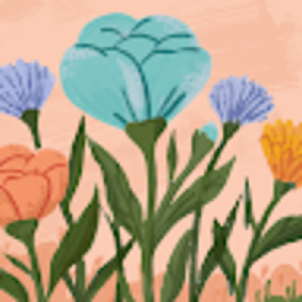 Meet your Posher, Felicity